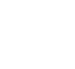 Scott Build Logo Wh 250px